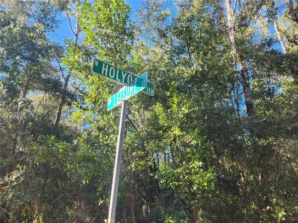 Dunnellon, FL 34433,10001 N HOLYOAK TER