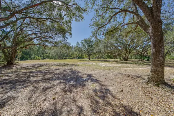 Lake Wales, FL 33898,2442 ROSALIE LAKE RD