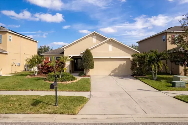 5558 ANGELONIA TER,  Land O Lakes,  FL 34639