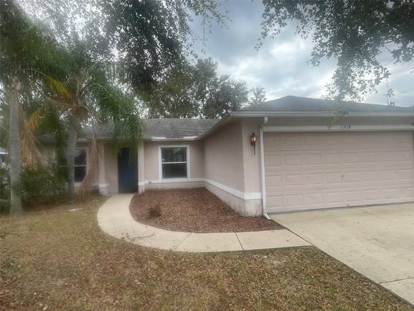 11519 WELLMAN DR, Riverview, FL 33578