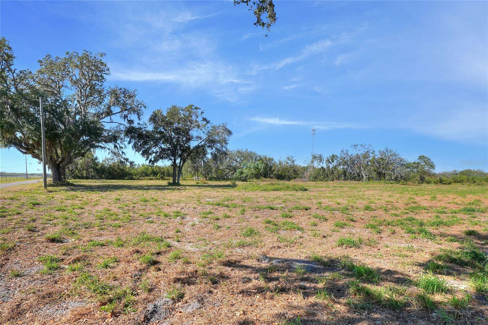 Lithia, FL 33547,0 BLEDSOE LOOP