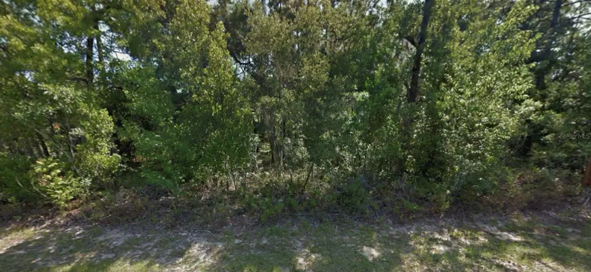 Citrus Springs, FL 34434,9175 N COMMODORE DR