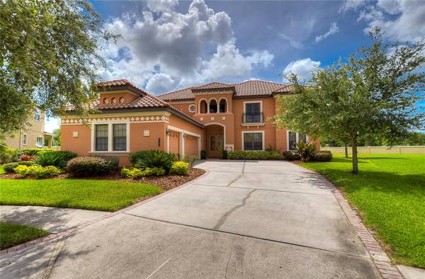 20103 SHADY HILL LN, Tampa, FL 33647