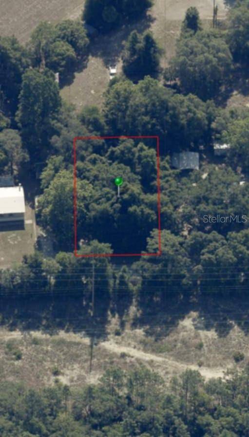 Lecanto, FL 34461,973 N MAYNARD AVE