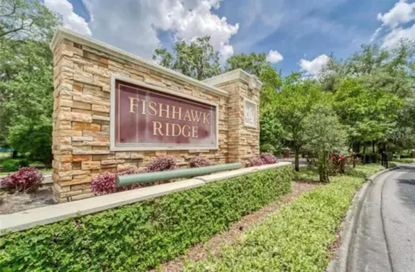 Lithia, FL 33547,15840 FISHHAWK FALLS DR