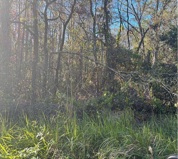 0 JUNGLE ST, New Port Richey, FL 34654