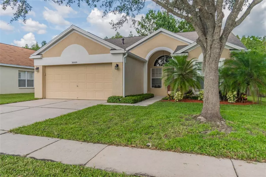 30009 MORNINGMIST DR, Wesley Chapel, FL 33543