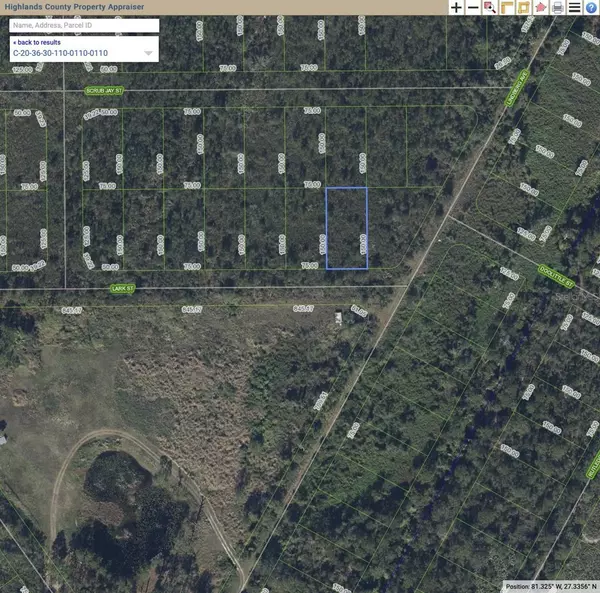 Lake Placid, FL 33852,1338 LARK ST