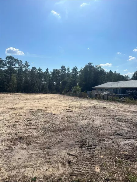 TBD NW MALLARD AVE, Dunnellon, FL 34432