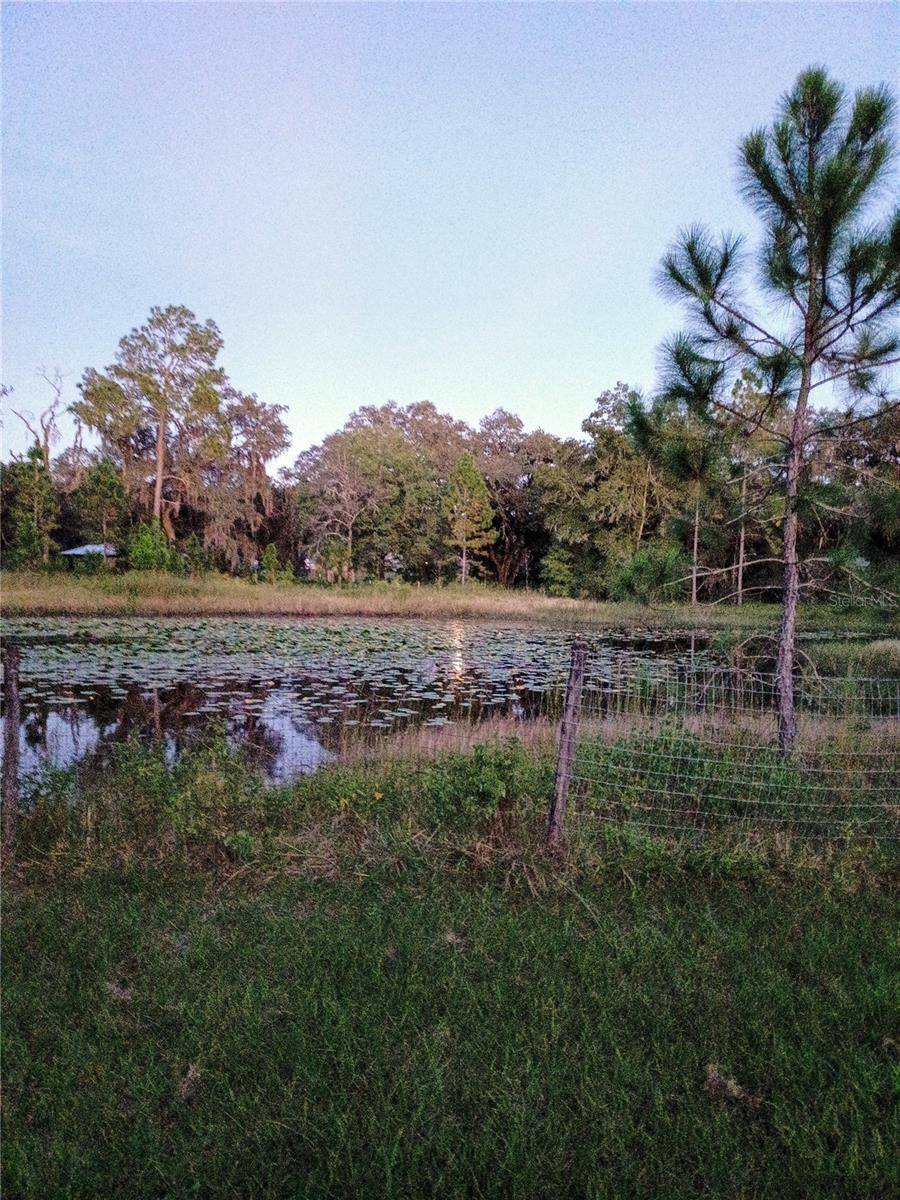 Thonotosassa, FL 33592,13621 MCINTOSH RD