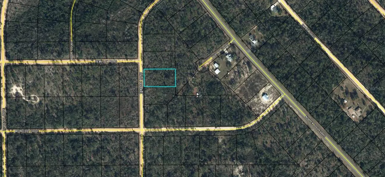 TAMARAC RD, Marianna, FL 32448