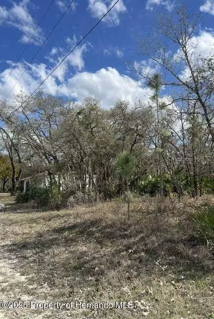Weeki Wachee, FL 34614,10180 ZEBRAFINCH AVE