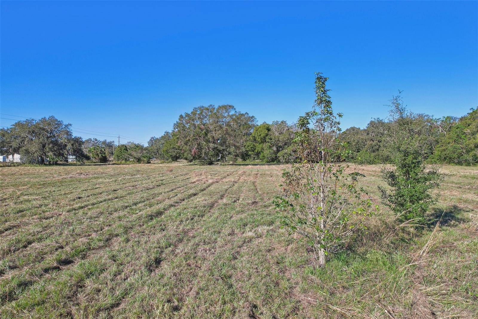 Lakeland, FL 33801,CR-542