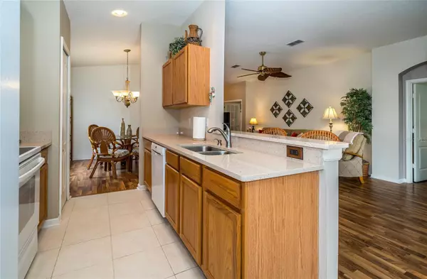 Wesley Chapel, FL 33544,5246 GATO DEL SOL CIR