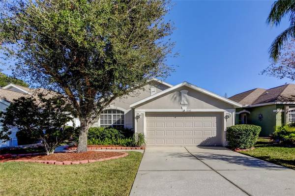 3152 BANYAN HILL LN, Land O Lakes, FL 34639