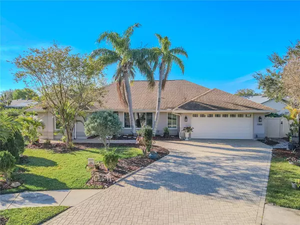 1000 CHILLUM CT, Safety Harbor, FL 34695