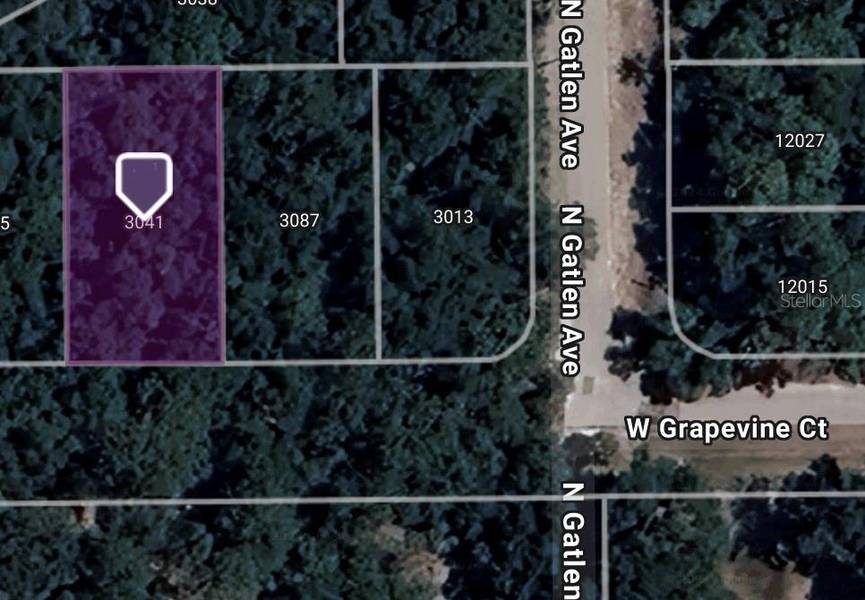 3041 W GRAPEVINE CT, Dunnellon, FL 34433