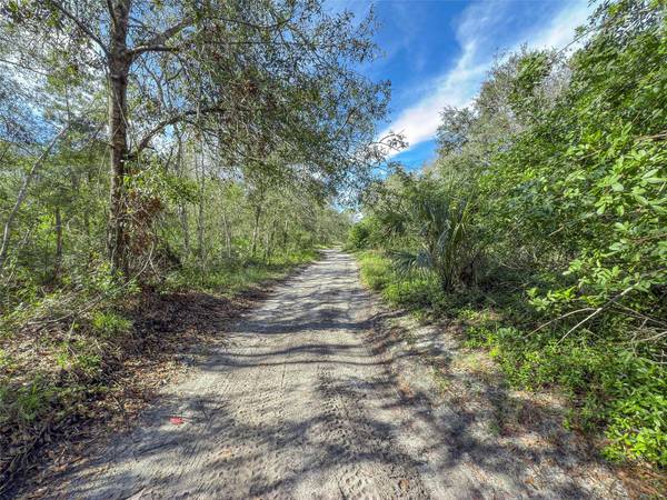 16915 SORONA RD, Wimauma, FL 33598