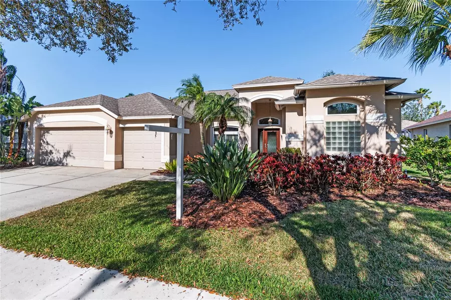 10325 MILLPORT DR, Tampa, FL 33626