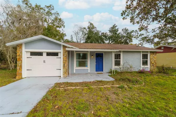 2906 MARTHA LN, Land O Lakes, FL 34639