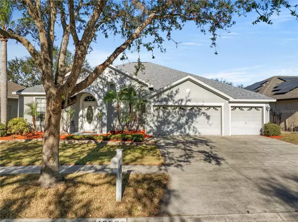 Riverview, FL 33579,12509 SAFARI LN