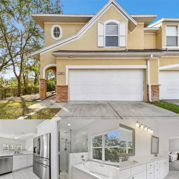 10883 DRAGONWOOD DR, Tampa, FL 33647