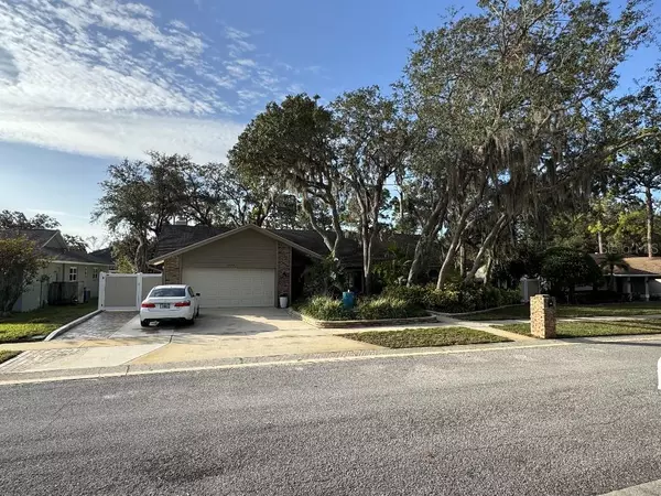 Palm Harbor, FL 34683,3089 ENISGLEN DR