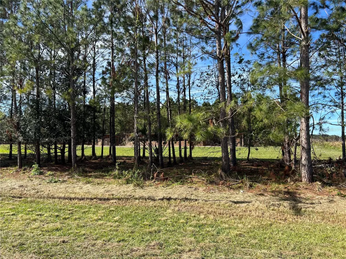 Lithia, FL 33547,17609 BLEDSOE LOOP