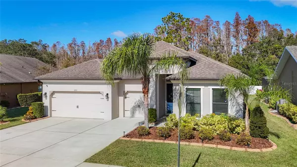 4903 DIAMONDS PALM LOOP, Wesley Chapel, FL 33543