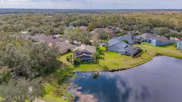 Lithia, FL 33547,6002 SHEARWATER LN