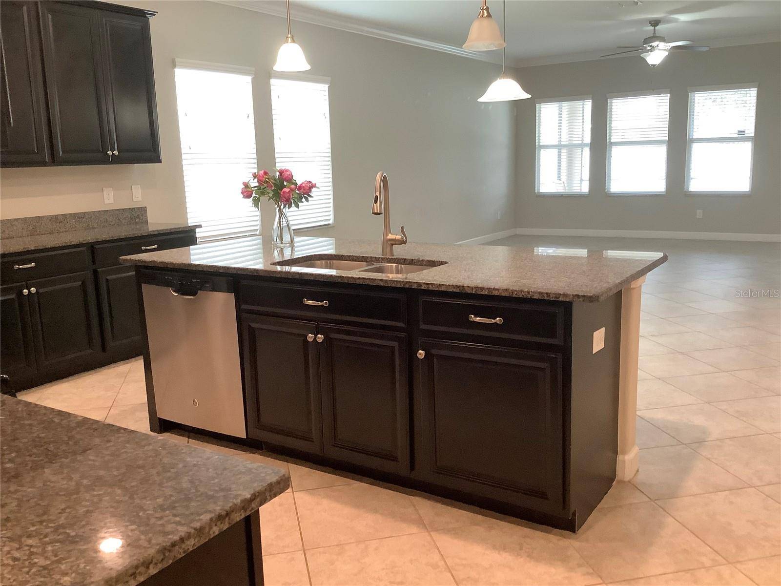 Land O Lakes, FL 34639,2588 BARTOLO DR