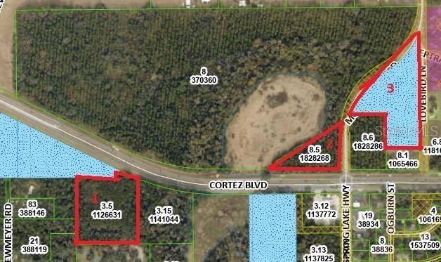 Brooksville, FL 34601,MONDON HILL RD