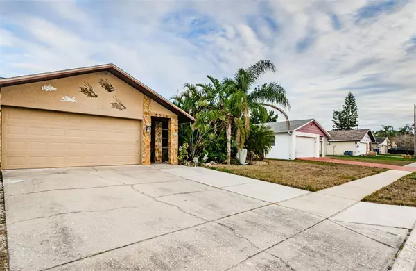 Port Richey, FL 34668,8026 BUTTONBALL LN