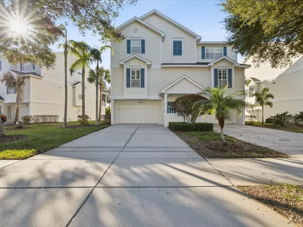 Dunedin, FL 34698,2644 MICHAEL PL