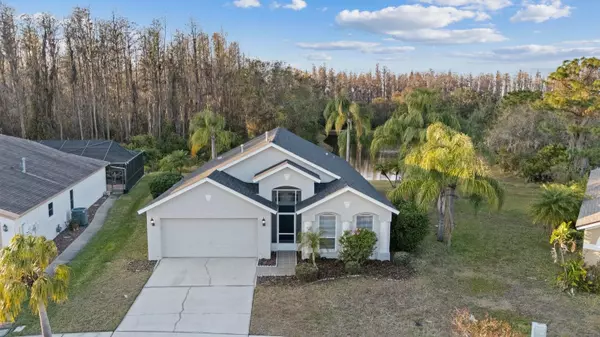 Wesley Chapel, FL 33543,1525 BAYTHORN DR