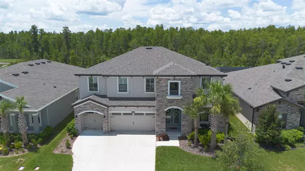 Land O Lakes, FL 34637,21812 EMORY OAK PL