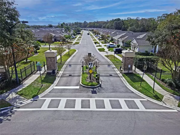 Wesley Chapel, FL 33544,5233 GATO DEL SOL CIR