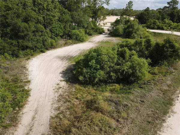 Webster, FL 33597,CORAL ROCK DR