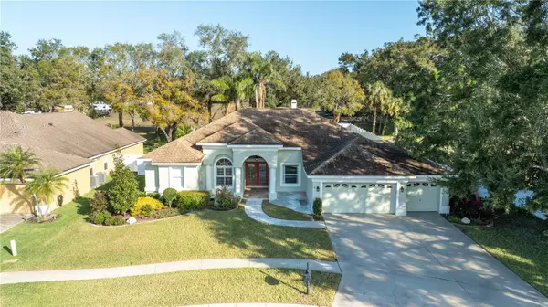 2801 NORWOOD HILLS LN, Valrico, FL 33596