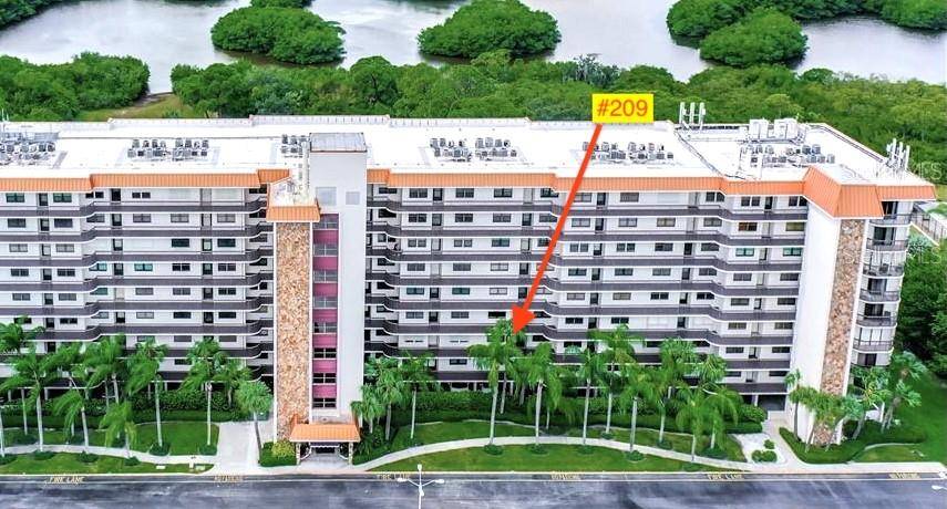 5400 PARK ST N #209, St Petersburg, FL 33709