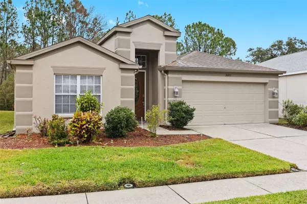 26801 MIDDLEGROUND LOOP, Wesley Chapel, FL 33544