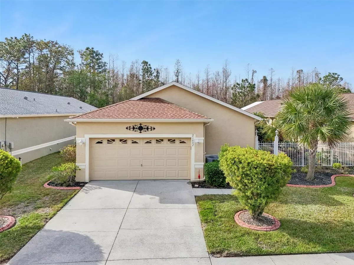 Land O Lakes, FL 34637,21042 DIAMONTE DR