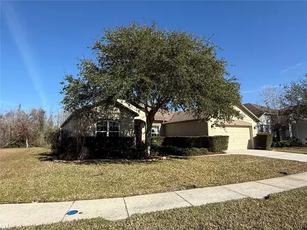 Land O Lakes, FL 34638,9730 ASBEL ESTATES ST