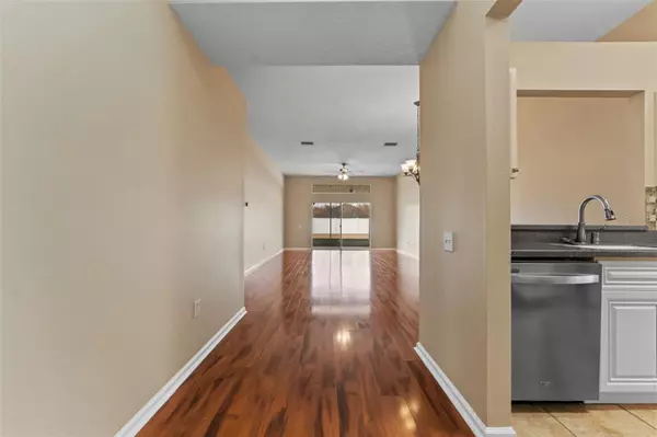 Wesley Chapel, FL 33544,5809 WAR ADMIRAL DR
