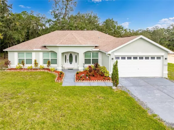 Weeki Wachee, FL 34614,11421 PETREL AVE