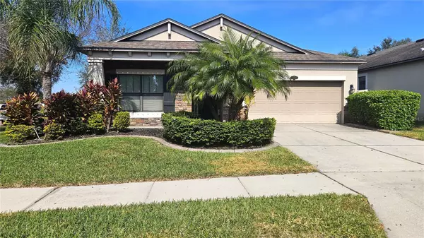 Riverview, FL 33569,11502 SCARLET IBIS PL