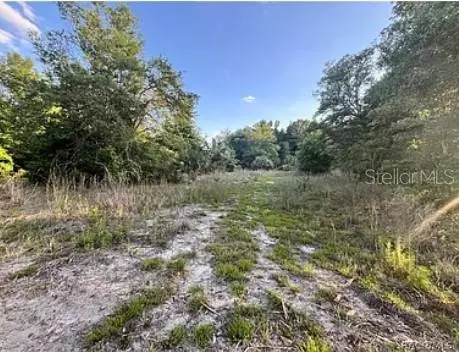 Crystal River, FL 34428,8398 W CATRINA LN