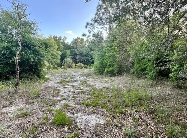 Crystal River, FL 34428,8376 W CATRINA LN