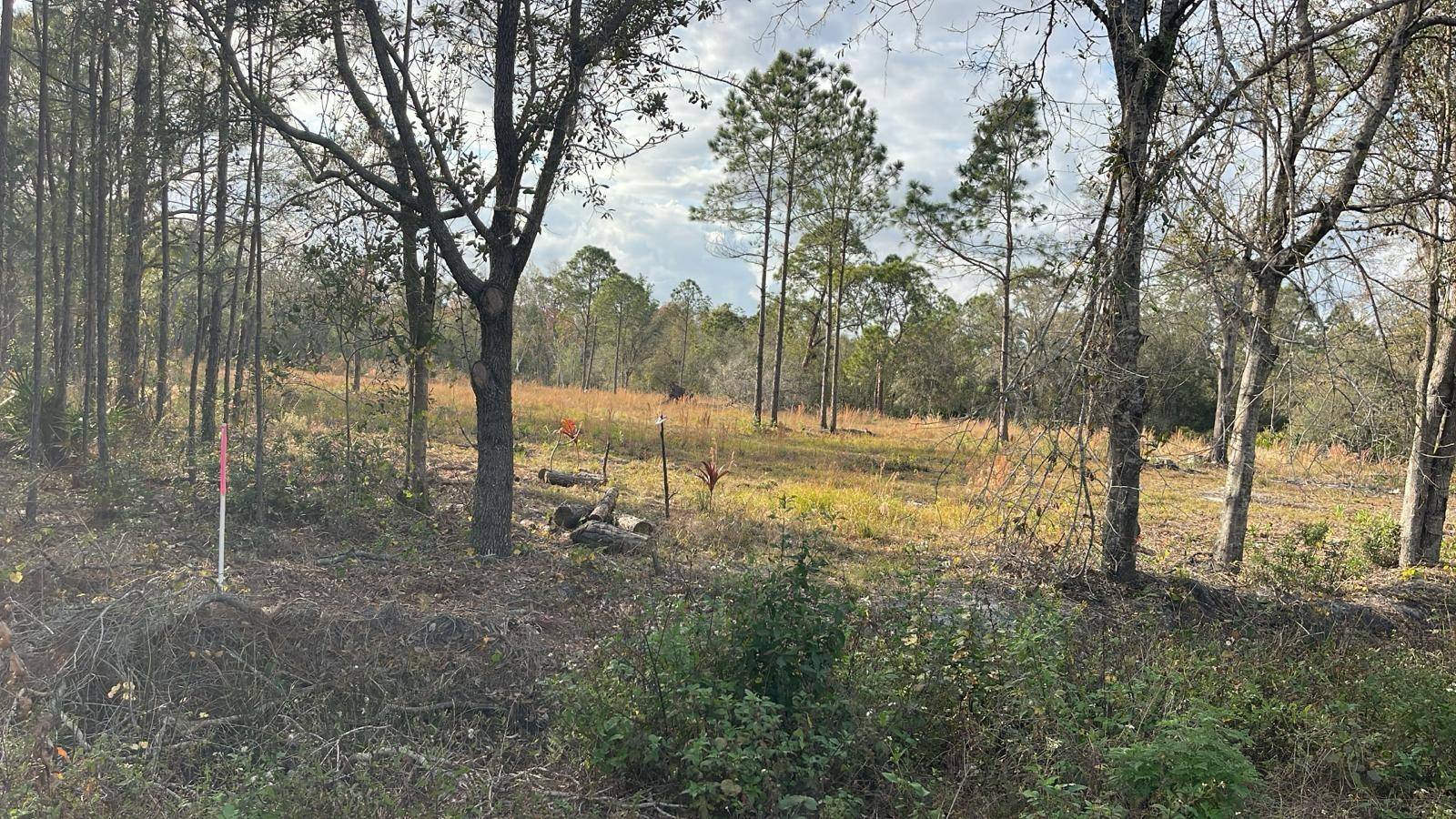 Frostproof, FL 33843,KELLY RIDGE RD