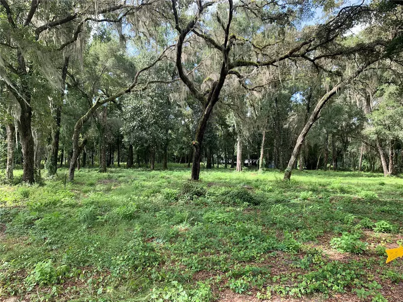 0 WC 48, Bushnell, FL 33513